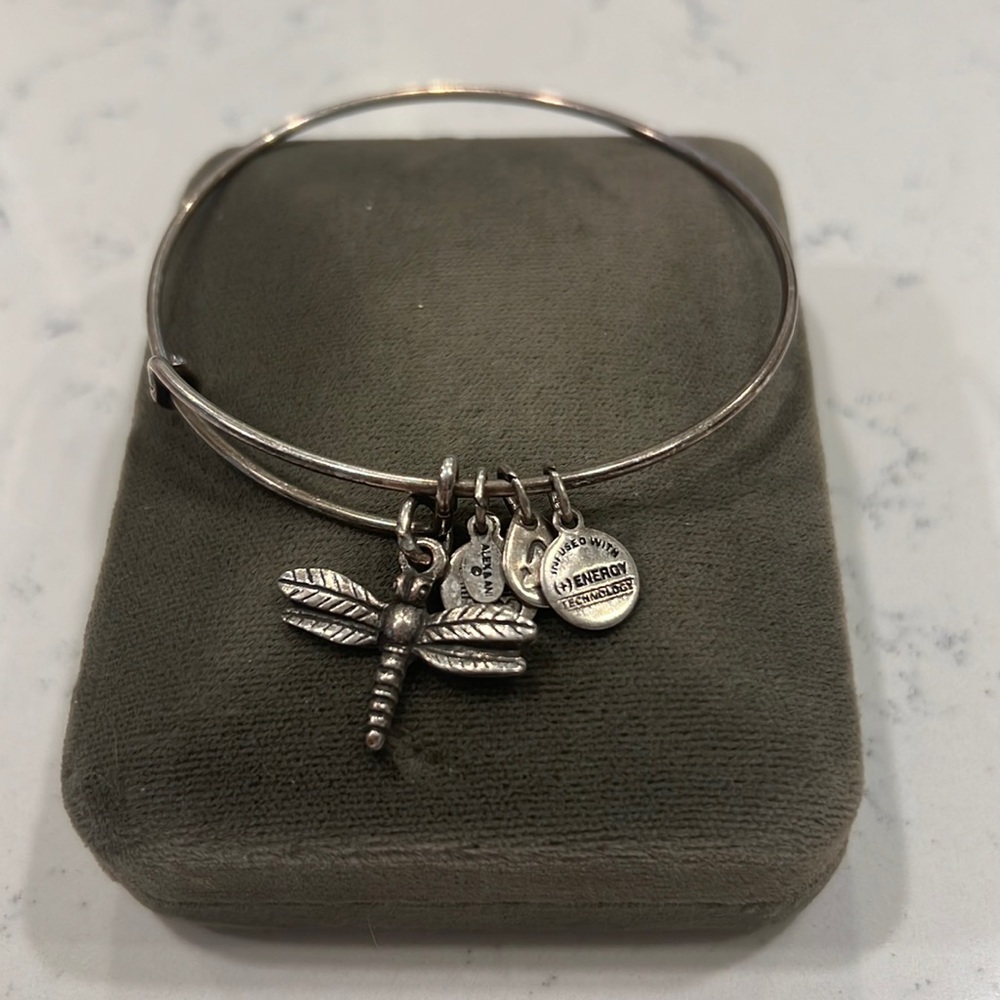 Alex and Ani Dragonfly Bracelet